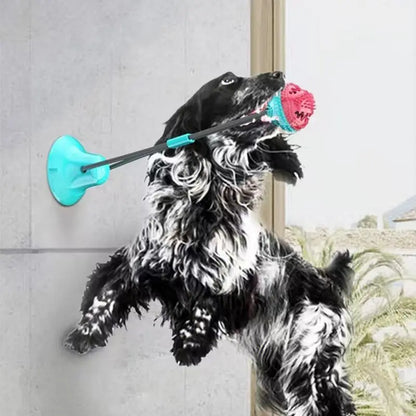 Durable Dog Teething and Chew Toy with Interactive Puzzle Treat Dispenser for Teeth Cleaning and Playtime