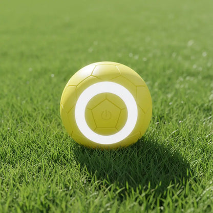 Gravity-Activated Interactive Electric Toy Ball for Cats and Dogs