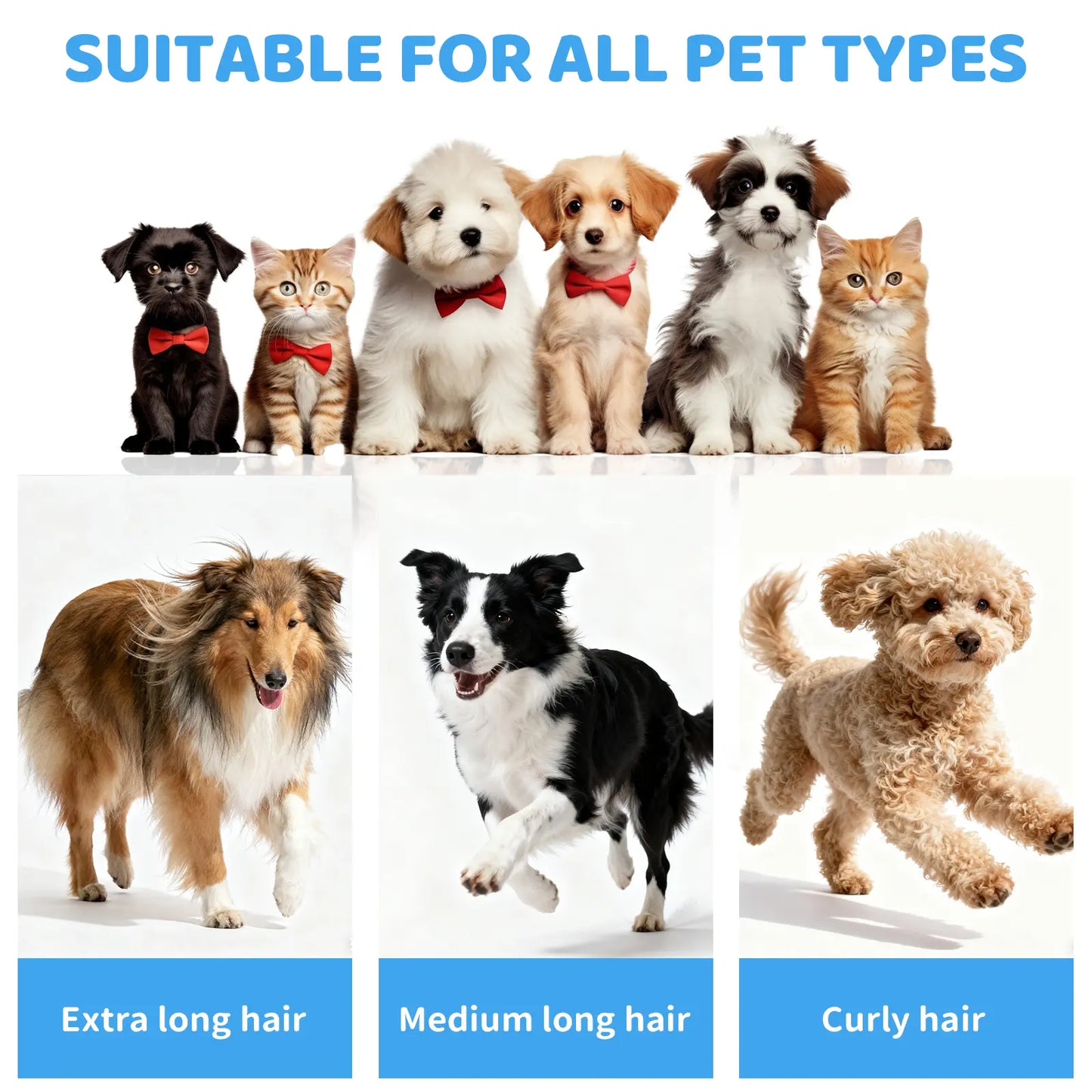 Pawimood 5-in-1 Professional Pet Grooming Vacuum with 13000PA Suction Power, 2L Dust Cup, and Comprehensive Shedding Grooming Kit