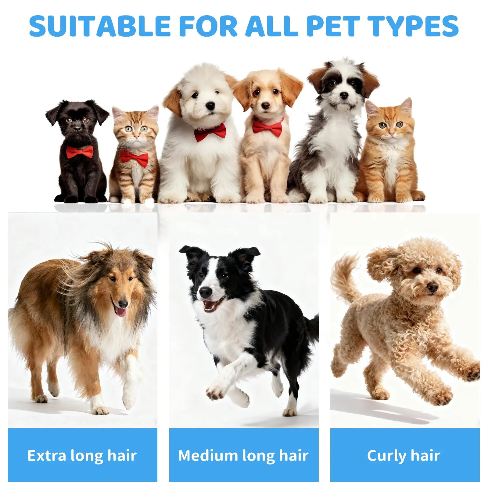 Pawimood 5-in-1 Professional Pet Grooming Vacuum with 13000PA Suction Power, 2L Dust Cup, and Comprehensive Shedding Grooming Kit