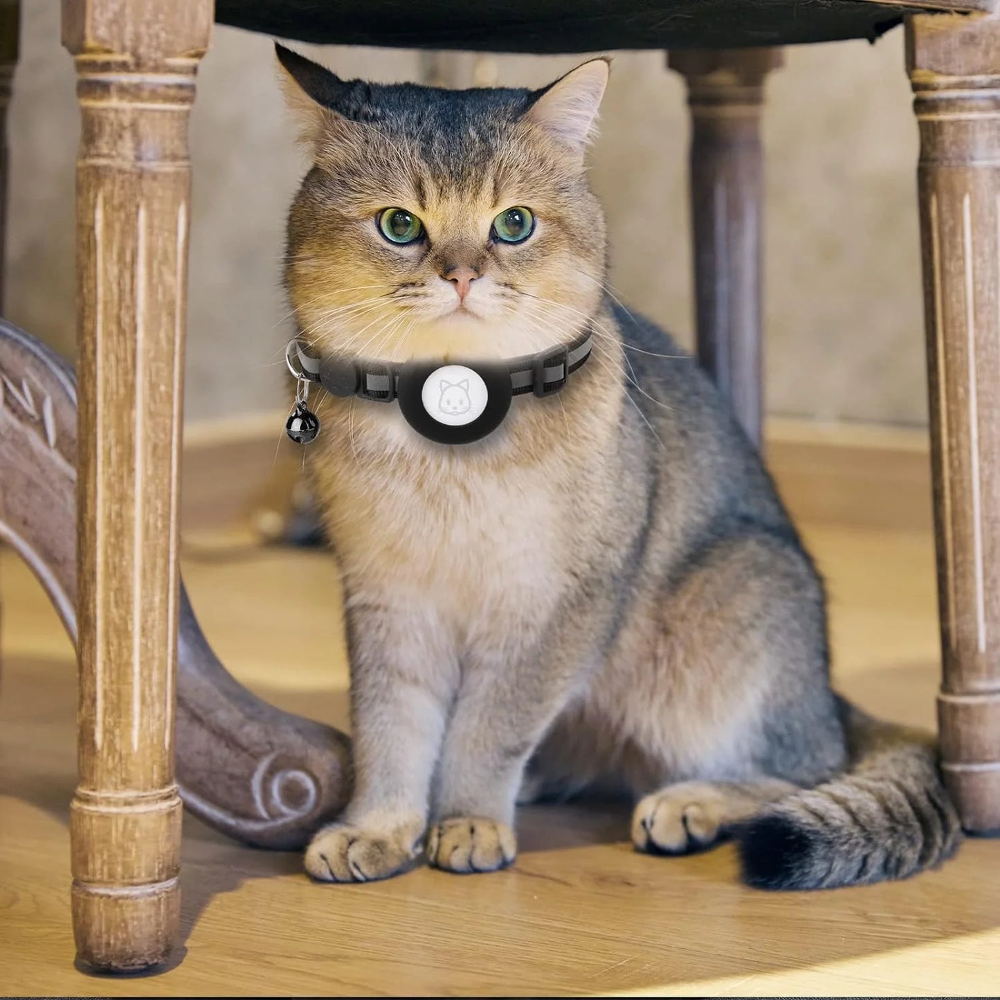 2-Pack Breakaway Airtag Cat Collar with Reflective Strap, Airtag Case, and Bell for Cats, Kittens, and Extra Small Dogs - Black
