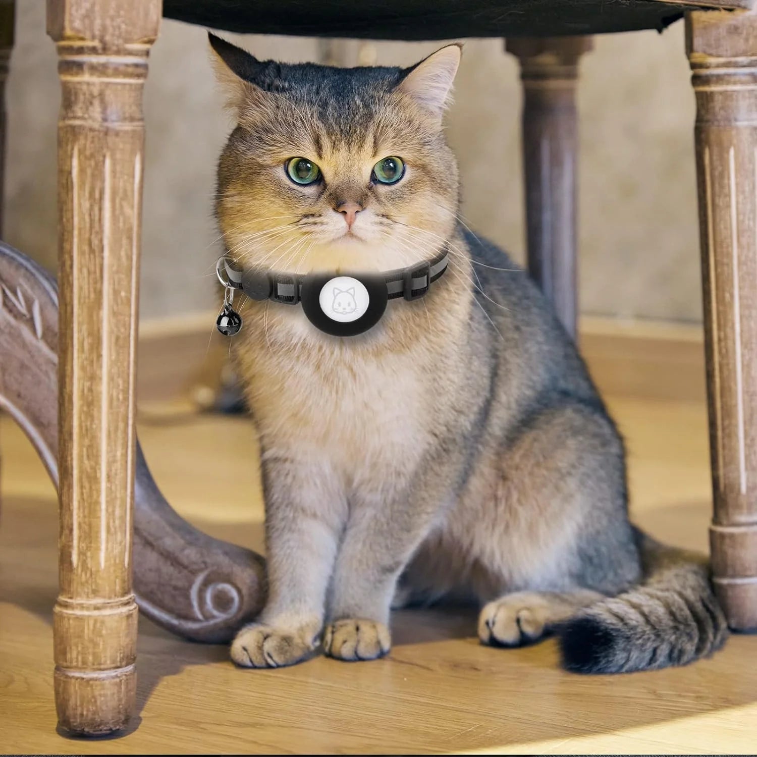 2-Pack Breakaway Airtag Cat Collar with Reflective Strap, Airtag Case, and Bell for Cats, Kittens, and Extra Small Dogs - Black
