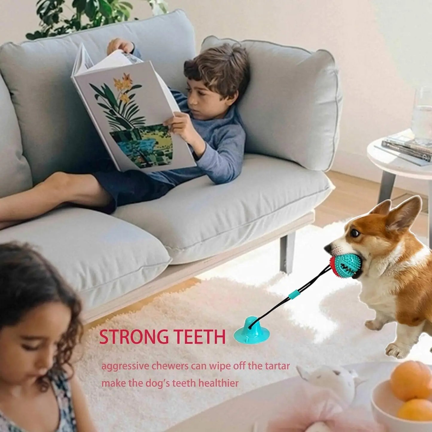 Durable Dog Teething and Chew Toy with Interactive Puzzle Treat Dispenser for Teeth Cleaning and Playtime