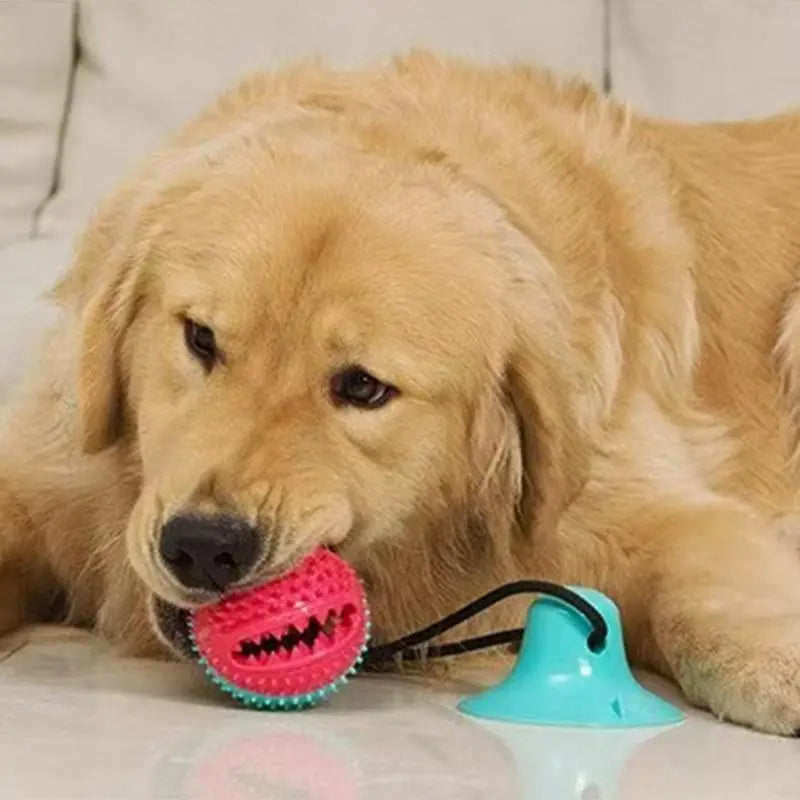 Durable Dog Teething and Chew Toy with Interactive Puzzle Treat Dispenser for Teeth Cleaning and Playtime