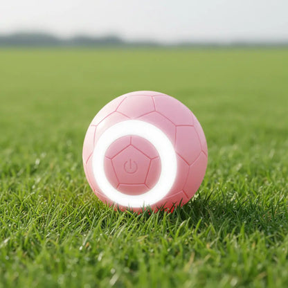 Gravity-Activated Interactive Electric Toy Ball for Cats and Dogs